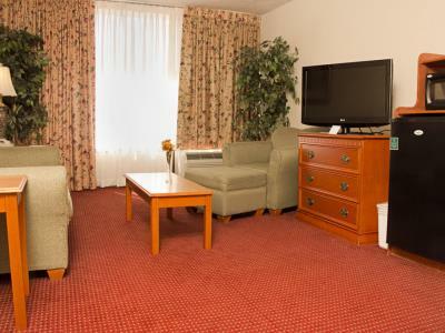 Wyndham Garden Atlanta Airport Hotel 3*